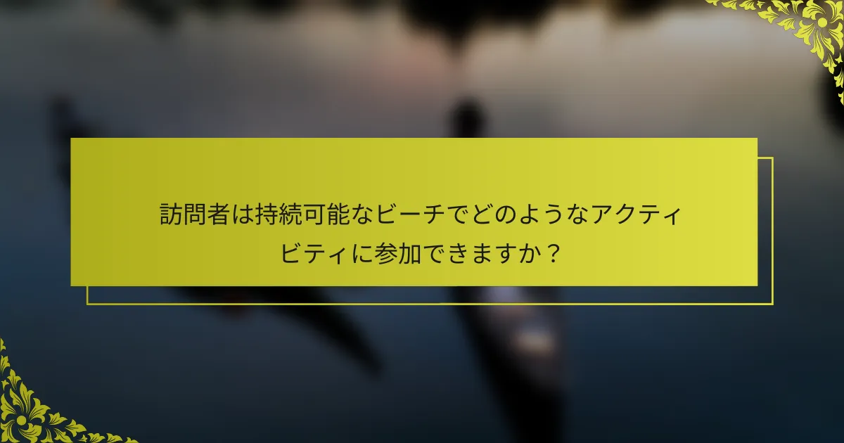 訪問者は持続可能なビーチでどのようなアクティビティに参加できますか？