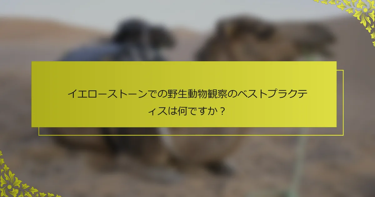 イエローストーンでの野生動物観察のベストプラクティスは何ですか？