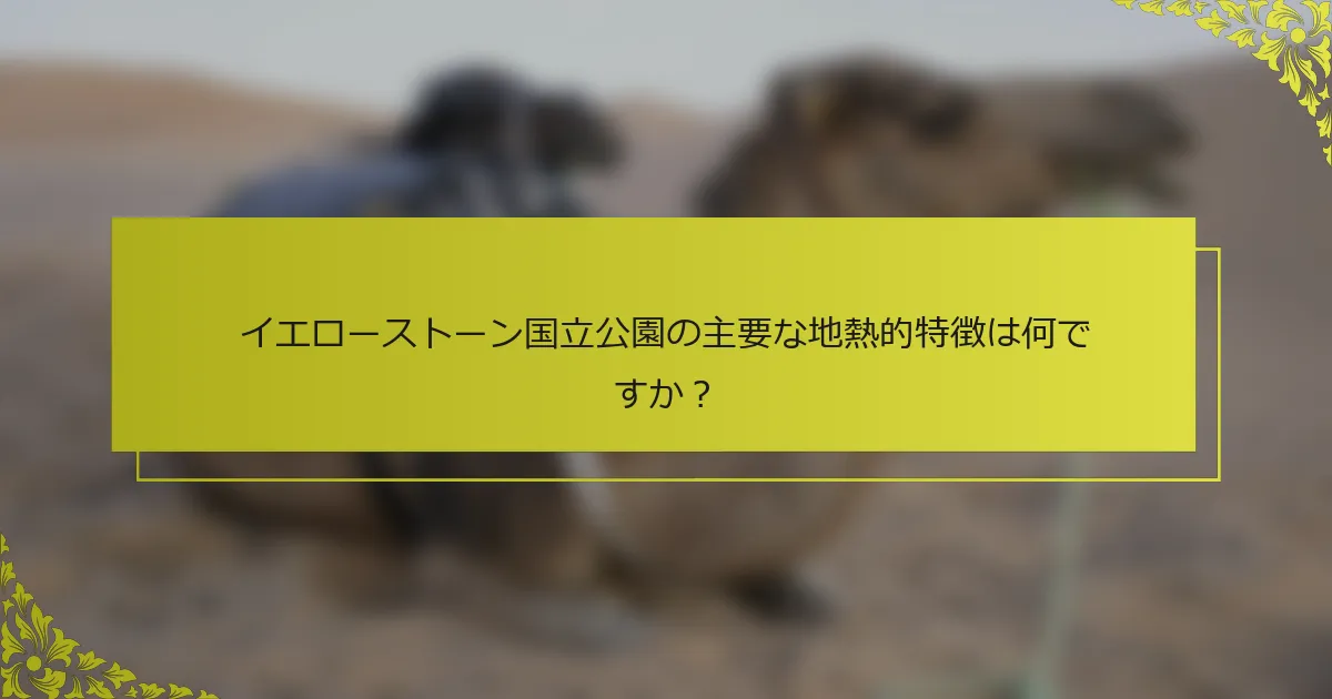イエローストーン国立公園の主要な地熱的特徴は何ですか？