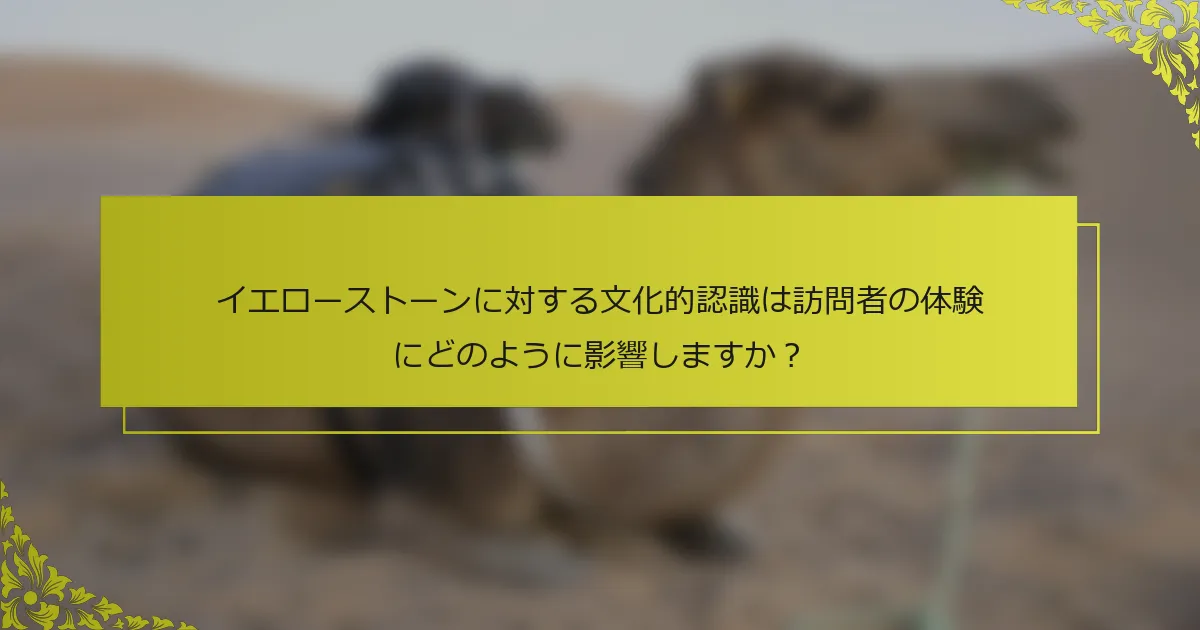 イエローストーンに対する文化的認識は訪問者の体験にどのように影響しますか？