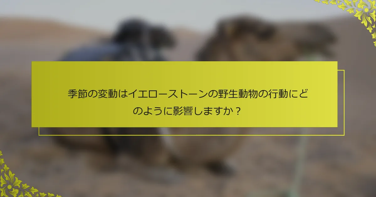 季節の変動はイエローストーンの野生動物の行動にどのように影響しますか？