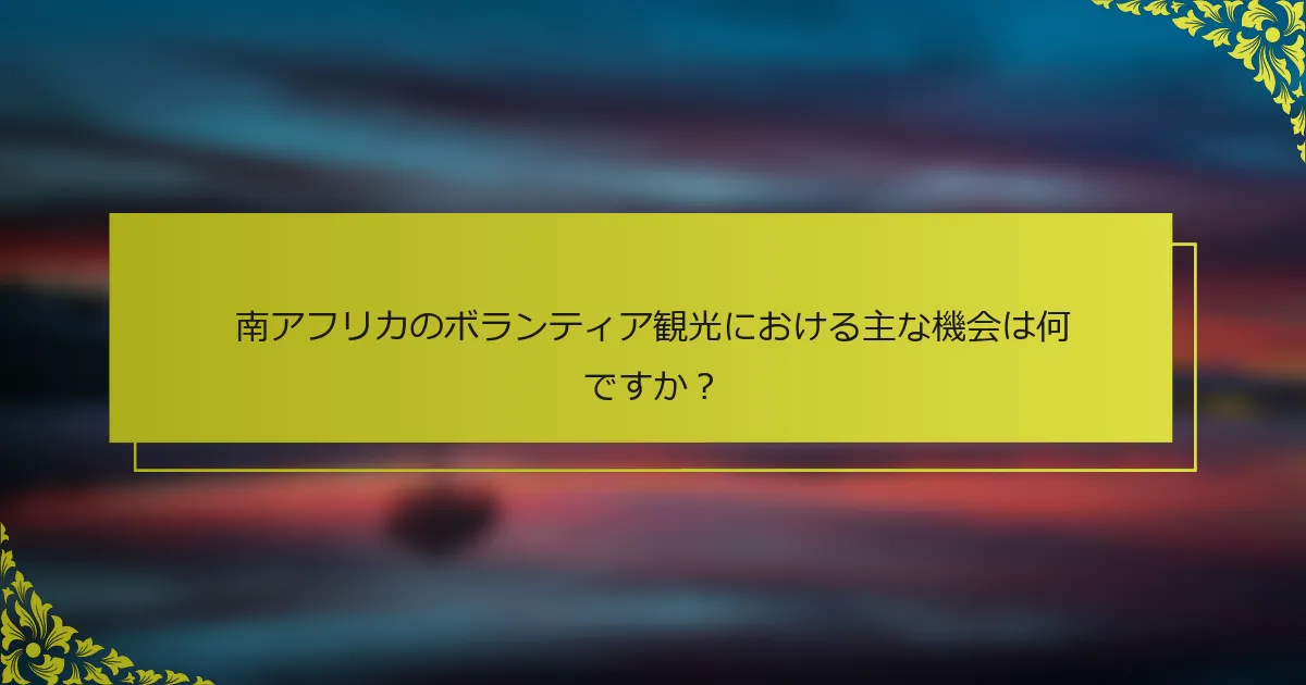 南アフリカのボランティア観光における主な機会は何ですか？