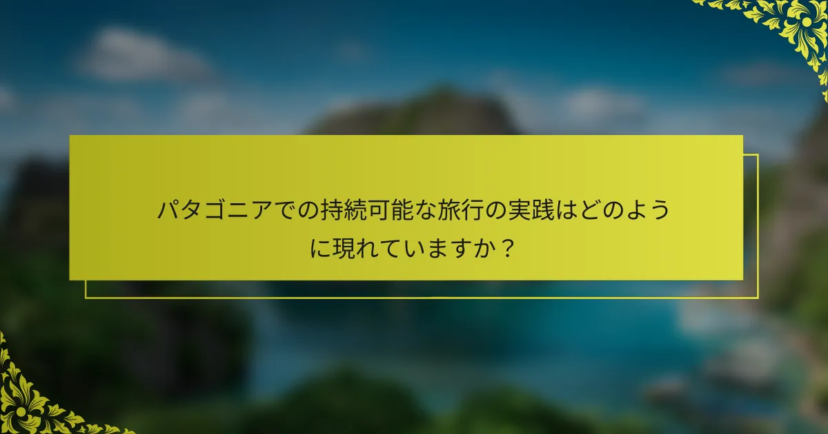 パタゴニアでの持続可能な旅行の実践はどのように現れていますか？