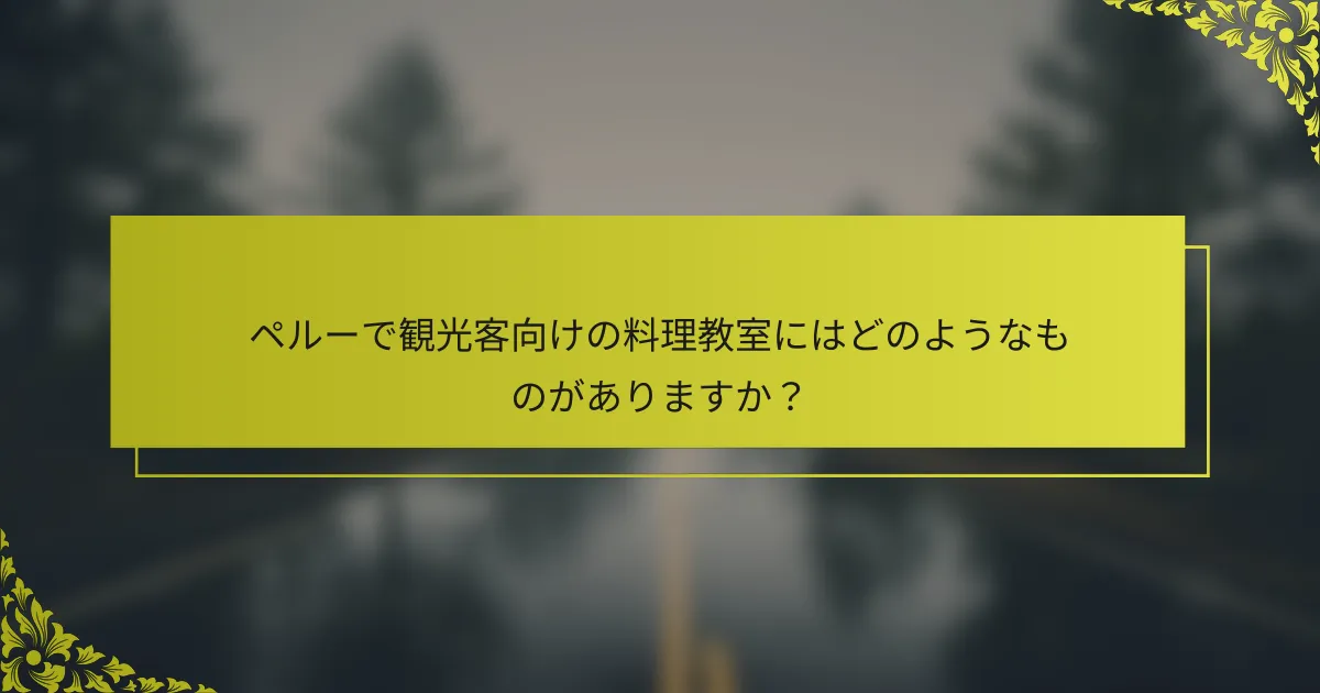 ペルーで観光客向けの料理教室にはどのようなものがありますか？