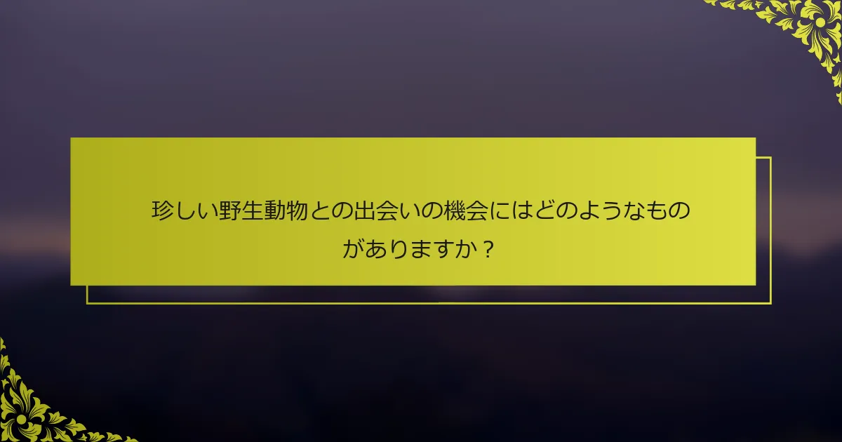 珍しい野生動物との出会いの機会にはどのようなものがありますか？